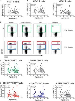 Impact of Aging on the Frequency, Phenotype, and Function of CD161-Expressing T Cells